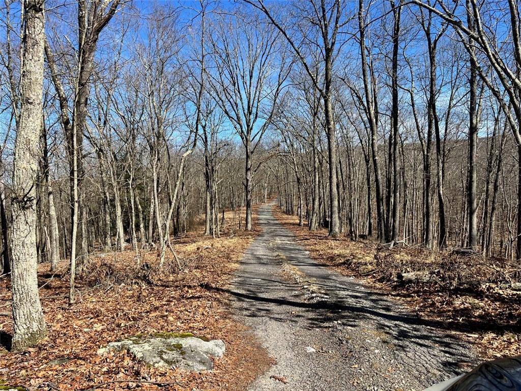 Single Family Greenville  Orange County, NY 12771, MLS-H6293486-14