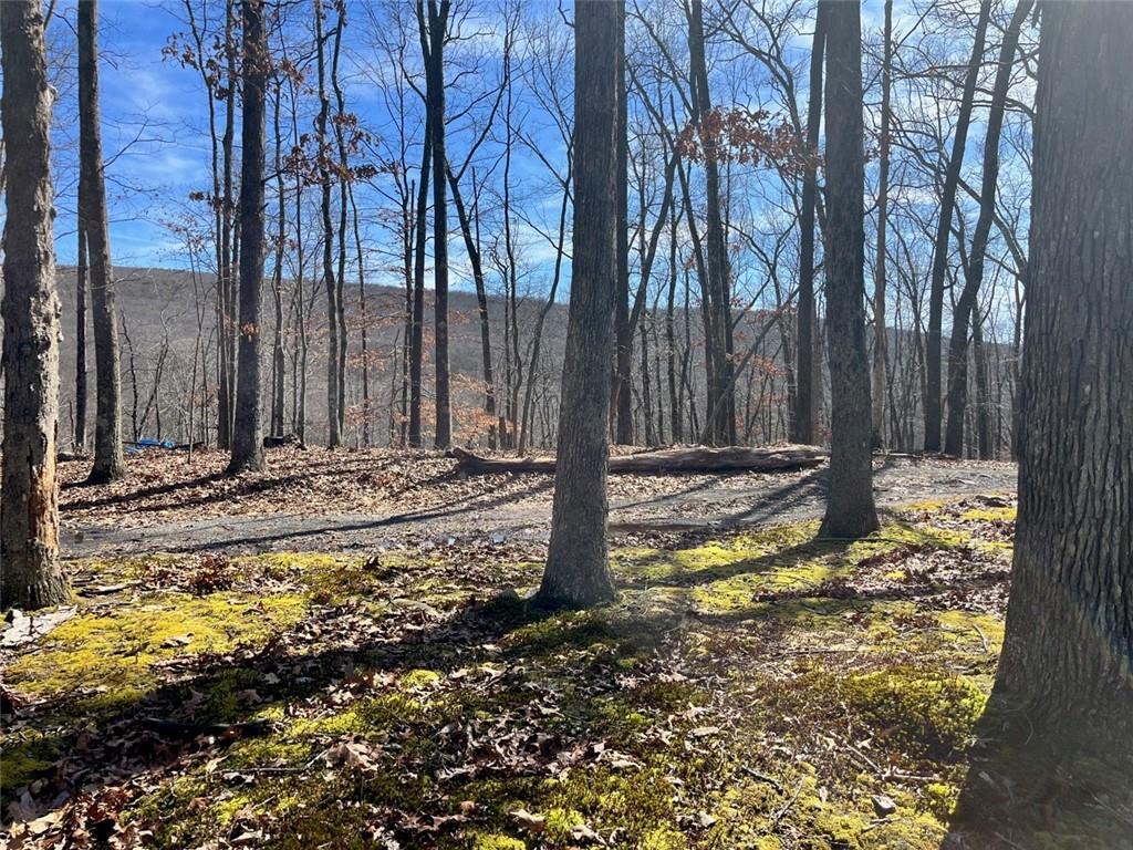 Single Family Greenville  Orange County, NY 12771, MLS-H6293486-15