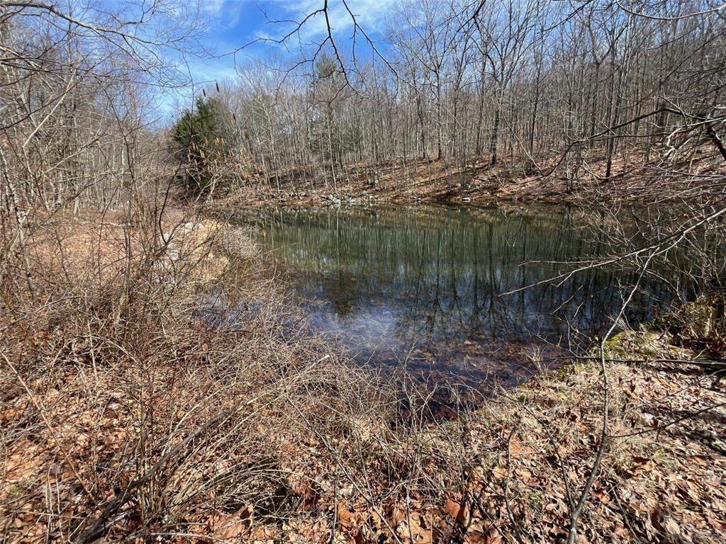 Single Family Greenville  Orange County, NY 12771, MLS-H6293486-23