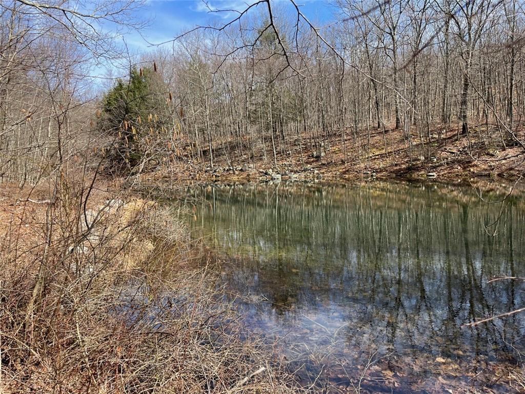 Single Family Greenville  Orange County, NY 12771, MLS-H6293486-27