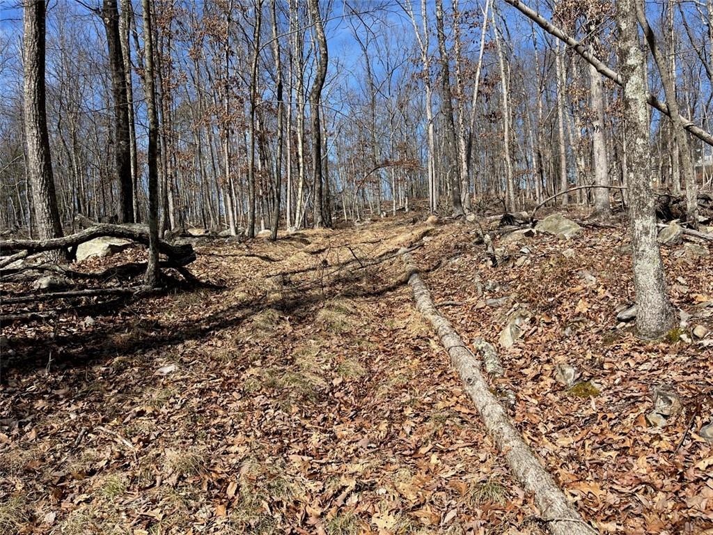 Single Family Greenville  Orange County, NY 12771, MLS-H6293486-28