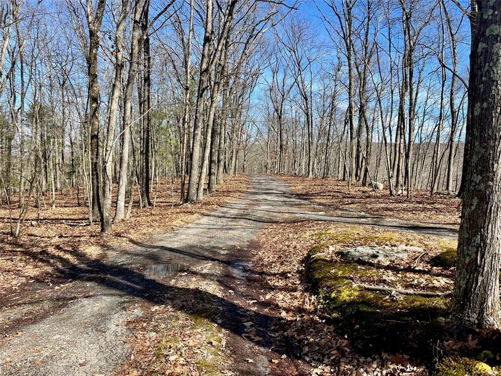 Single Family Greenville  Orange County, NY 12771, MLS-H6293486-3