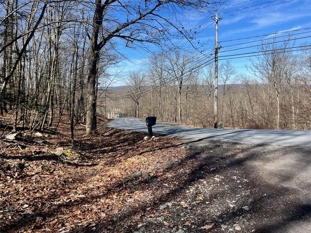 Single Family Greenville  Orange County, NY 12771, MLS-H6293486-4