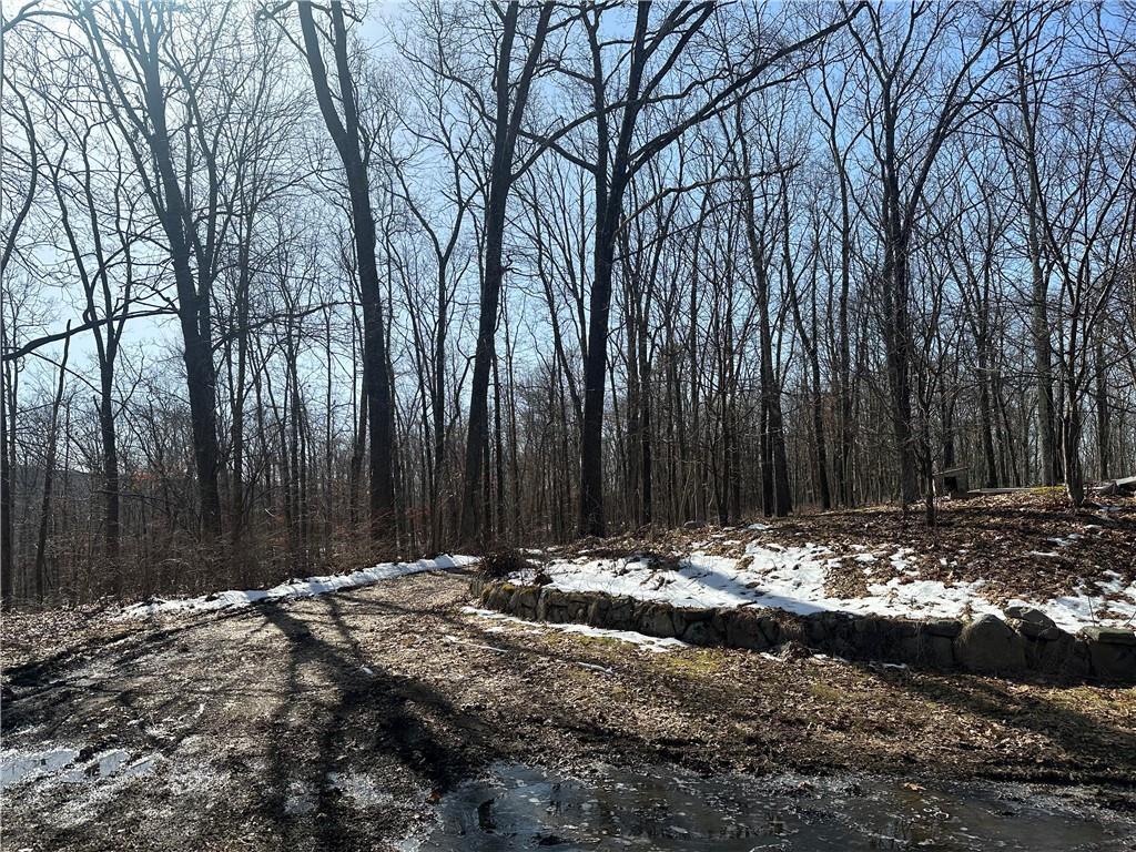 Single Family Greenville  Orange County, NY 12771, MLS-H6293486-9