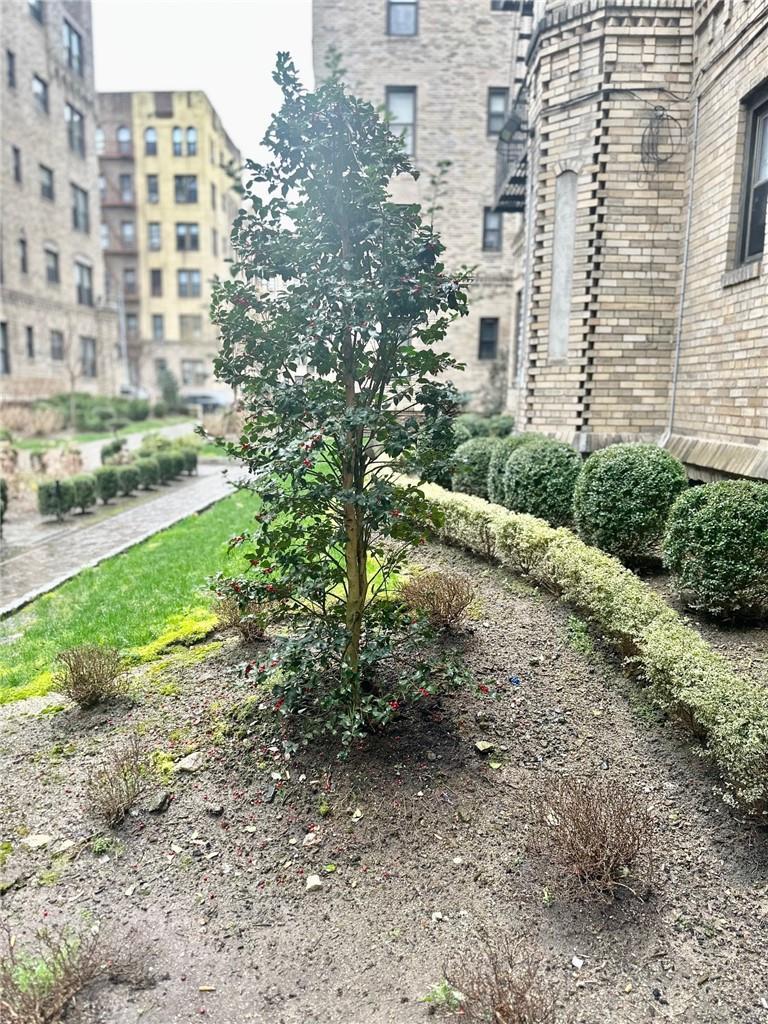 Coop Wallace  Bronx, NY 10462, MLS-H6293890-6