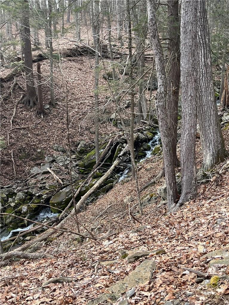 Single Family State Route 97  Sullivan County, NY 12719, MLS-H6294740-5