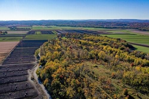 Single Family Pine Island Trnpke Lot 2  Orange County, NY 10969, MLS-H6297794-3