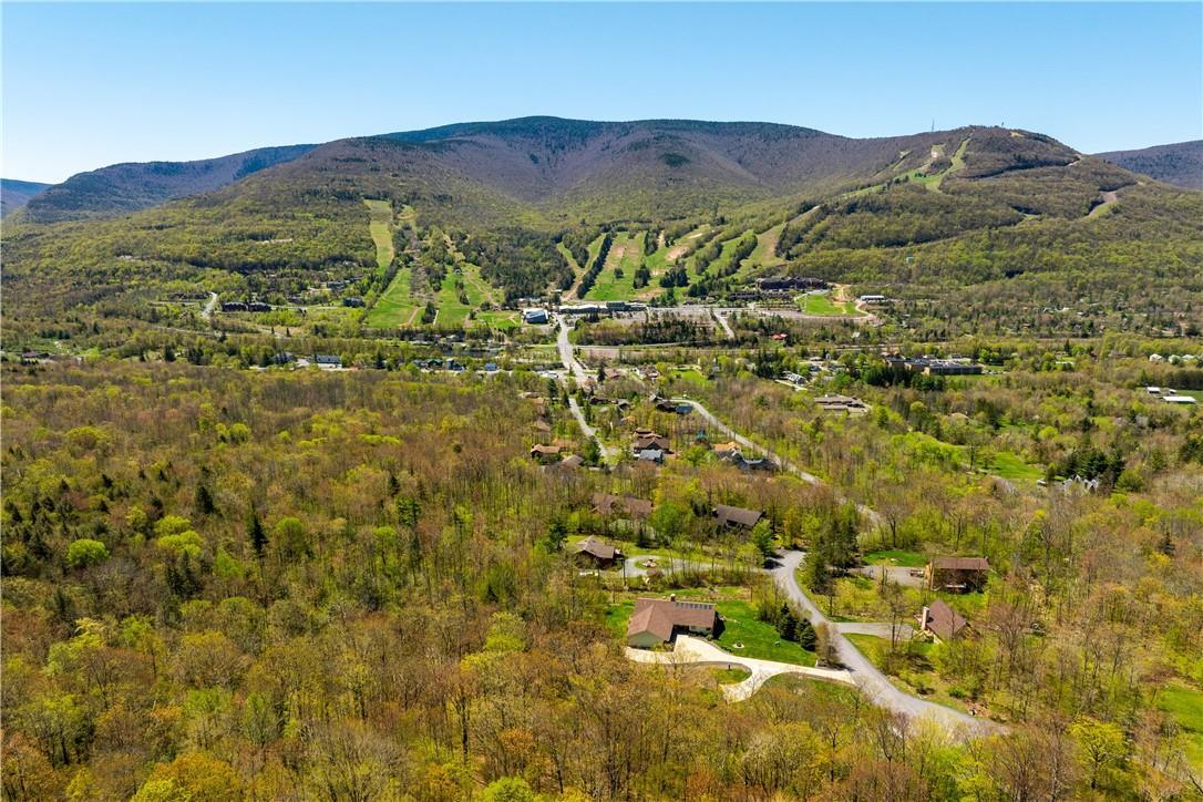 Single Family Botti  Greene County, NY 12442, MLS-H6302250-24