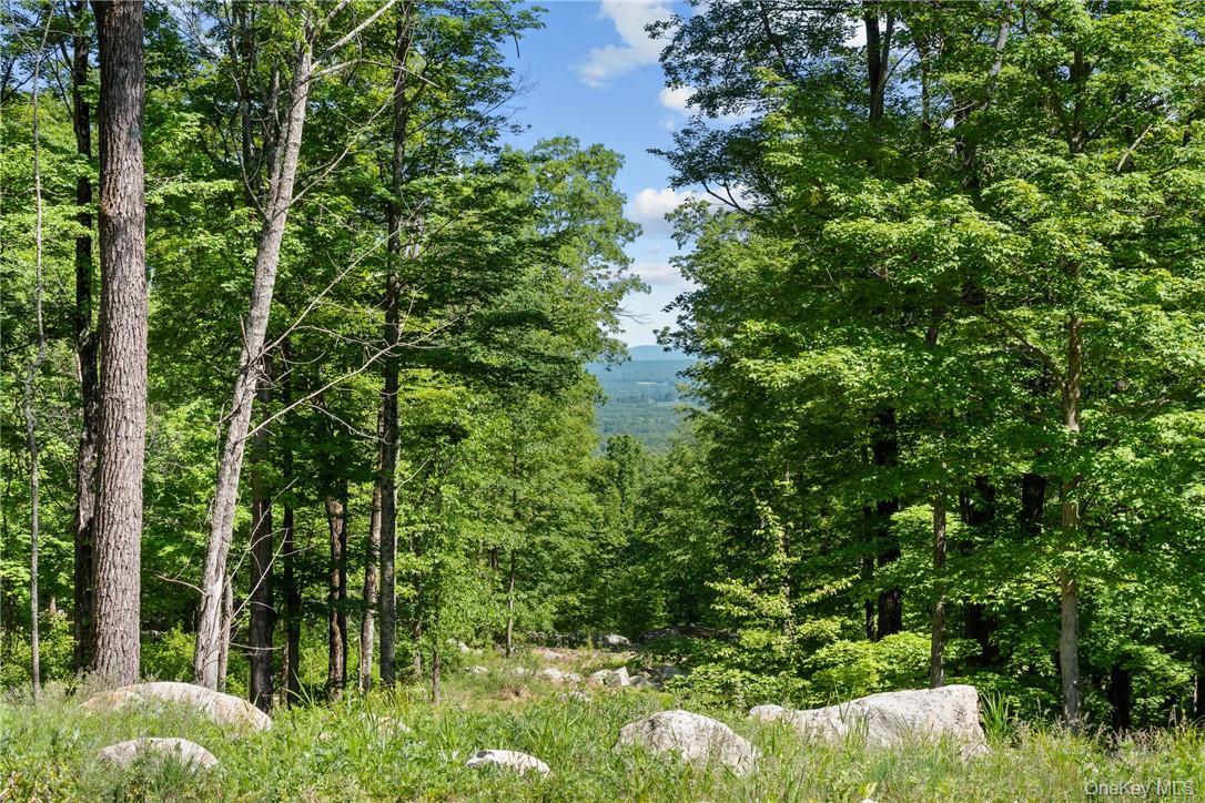 Single Family Sheldon Ulster County, NY 12525, MLS-H6303953-2