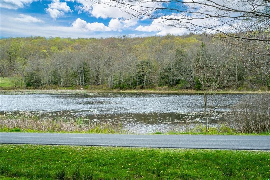 Single Family Beaver Lake  Sullivan County, NY 12758, MLS-H6306221-4