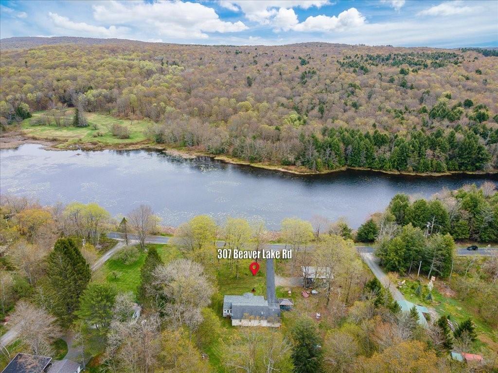 Single Family Beaver Lake  Sullivan County, NY 12758, MLS-H6306221-5