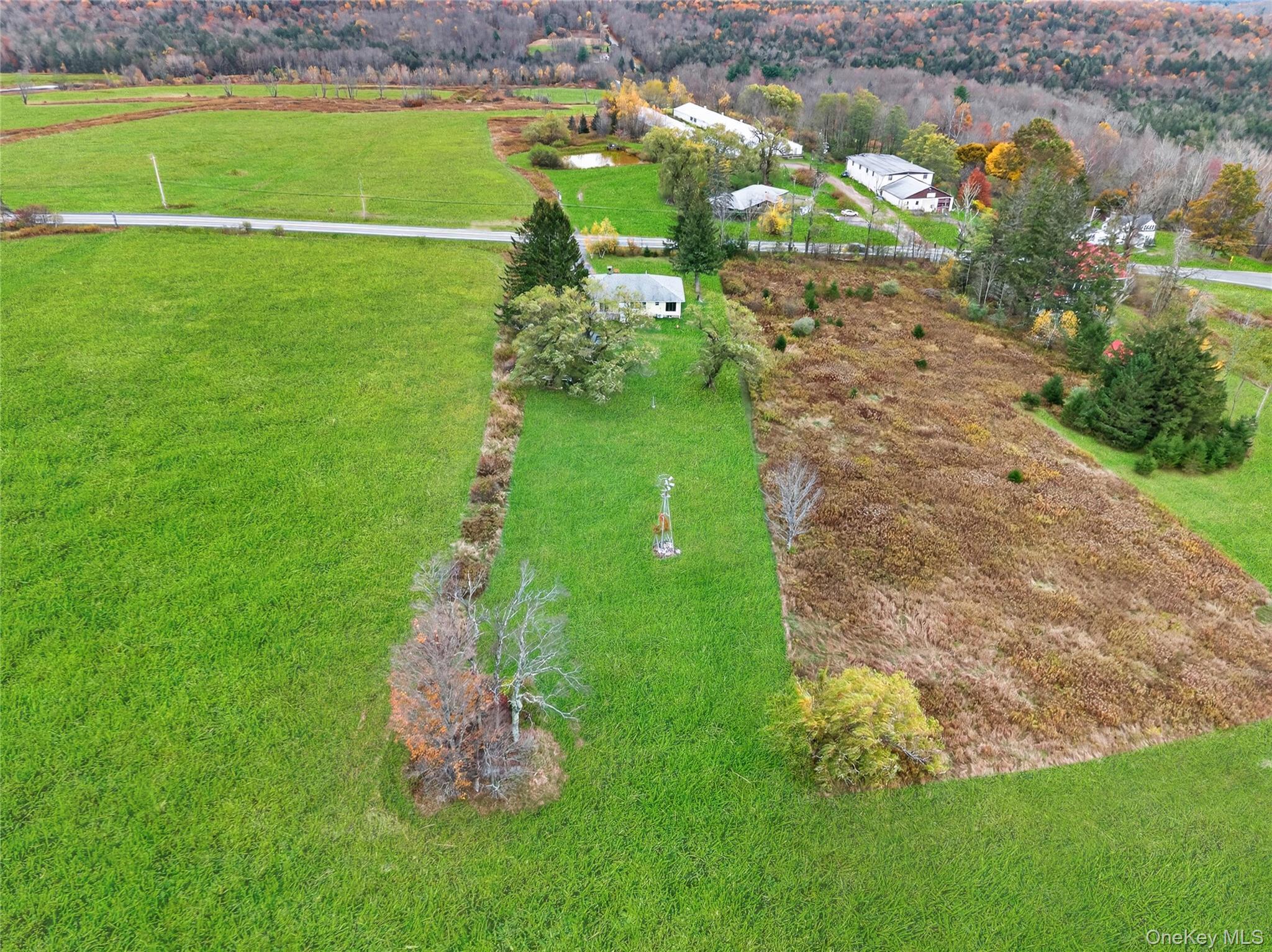 Single Family State Route 55 Sullivan County, NY 12754, MLS-H6307641-40