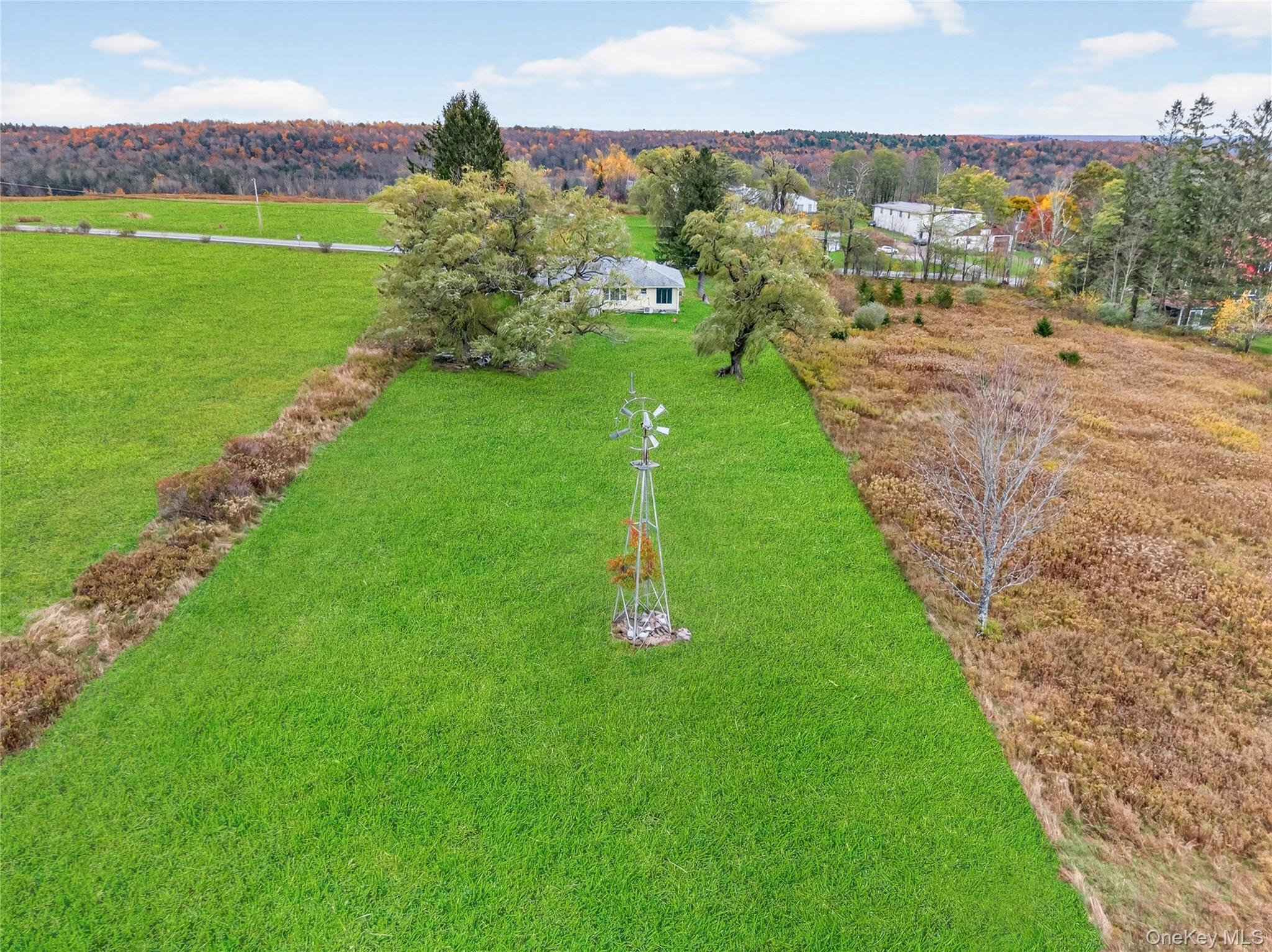 Single Family State Route 55 Sullivan County, NY 12754, MLS-H6307641-41