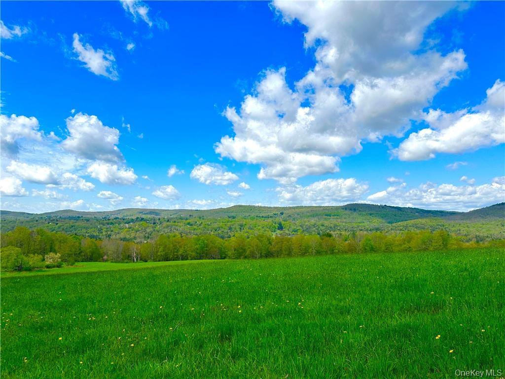 Single Family State Route 55 Sullivan County, NY 12754, MLS-H6307641-44
