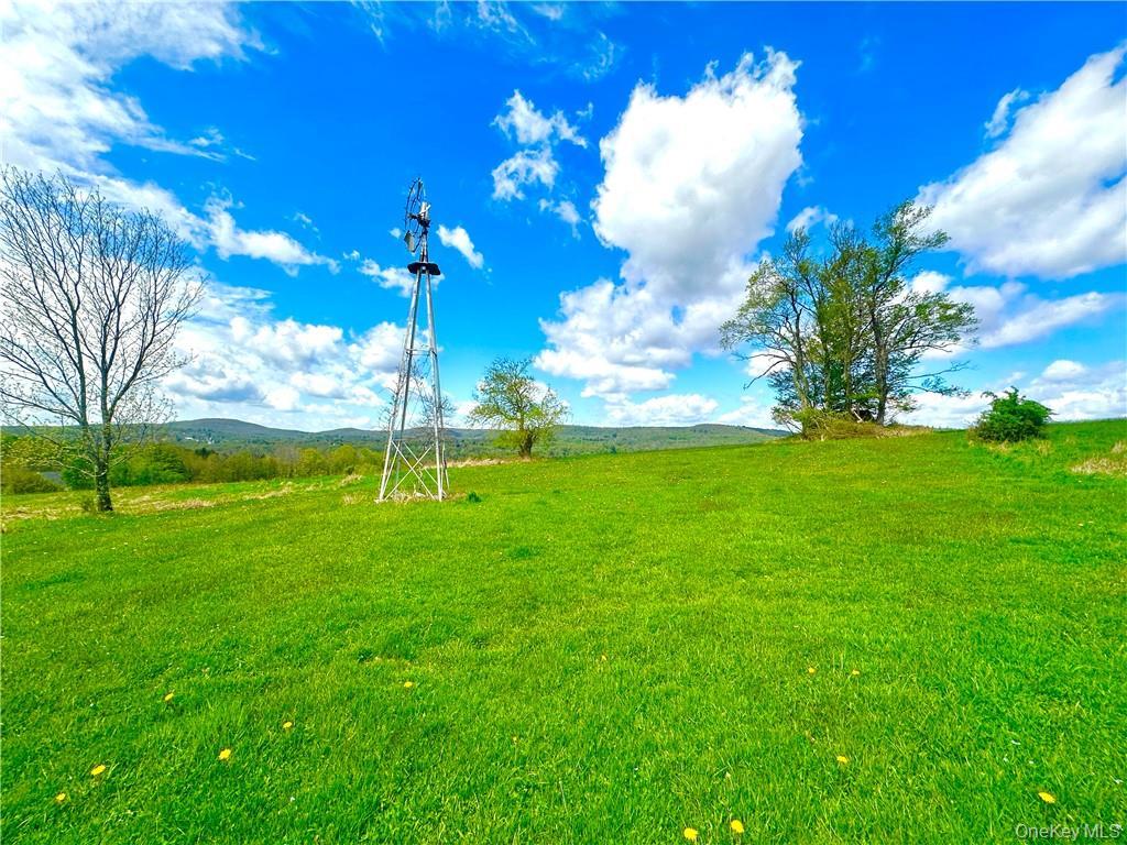 Single Family State Route 55 Sullivan County, NY 12754, MLS-H6307641-45