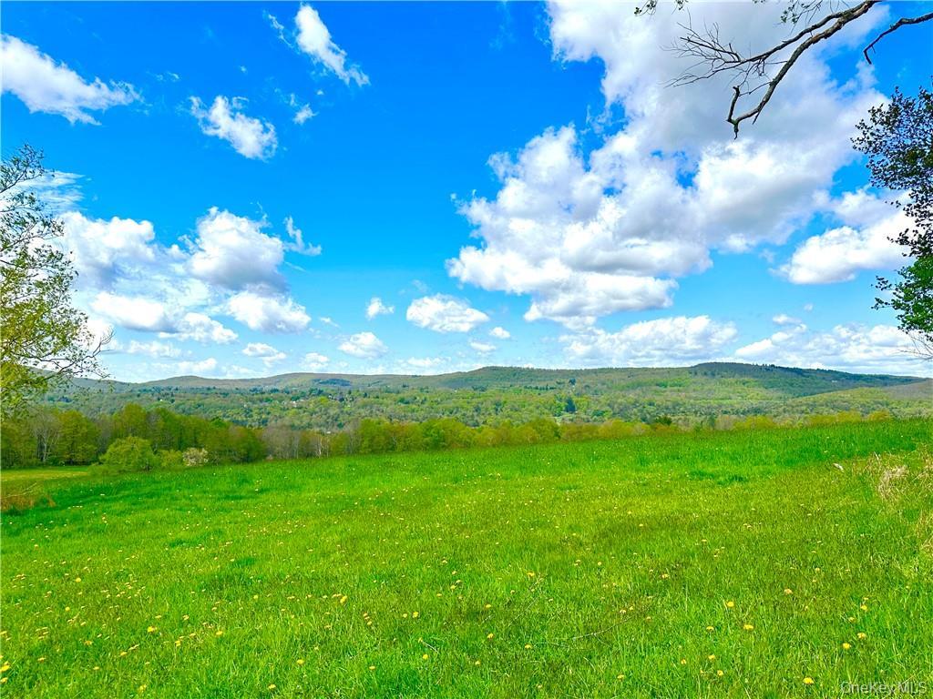 Single Family State Route 55 Sullivan County, NY 12754, MLS-H6307641-47