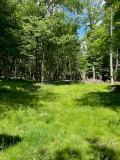 Single Family Lackawaxen  Sullivan County, NY 12764, MLS-H6309382-10