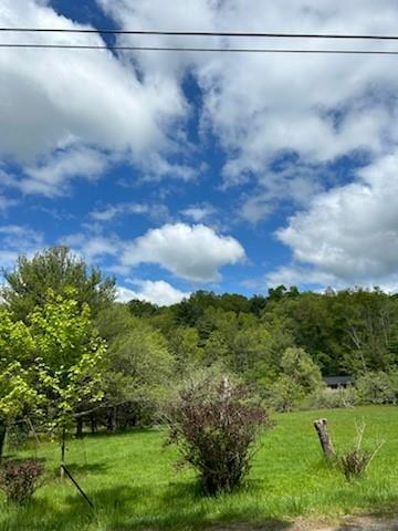 Single Family Lackawaxen  Sullivan County, NY 12764, MLS-H6309382-7