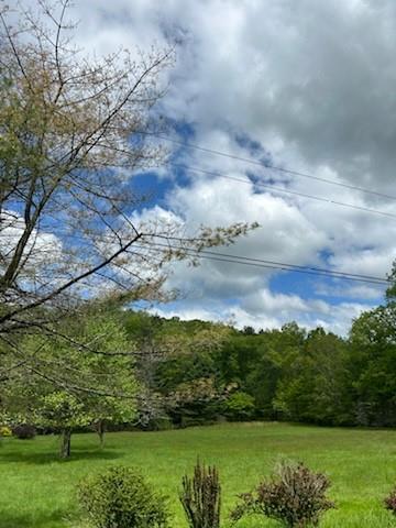 Single Family Lackawaxen  Sullivan County, NY 12764, MLS-H6309382-8