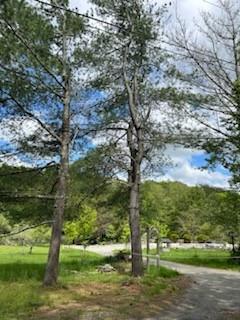 Single Family Lackawaxen  Sullivan County, NY 12764, MLS-H6309382-9