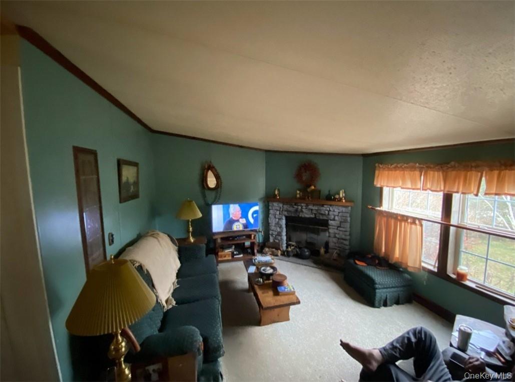 Single Family Ryan Dutchess County, NY 12567, MLS-H6311772-6