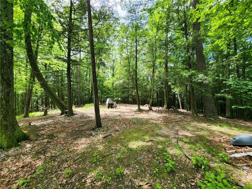 Single Family Buffalo  Ulster County, NY 12477, MLS-H6311843-4