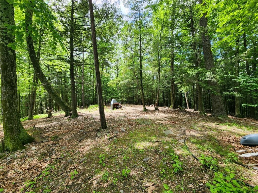 Single Family Buffalo  Ulster County, NY 12477, MLS-H6311843-5