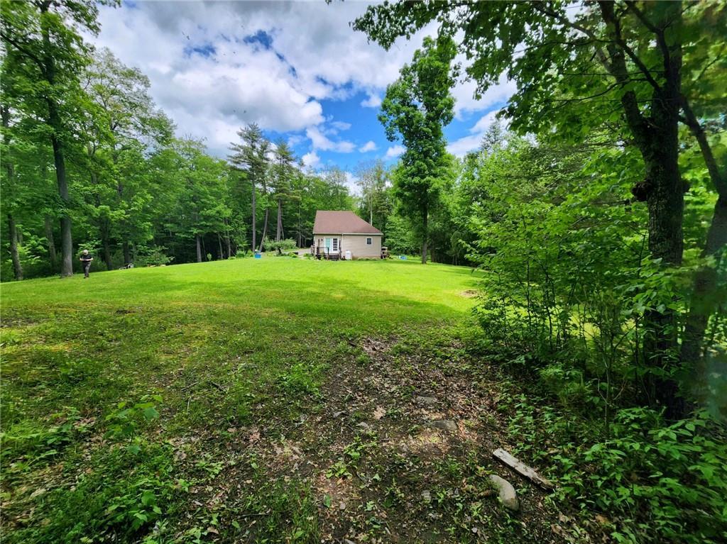 Single Family Buffalo  Ulster County, NY 12477, MLS-H6311843-6