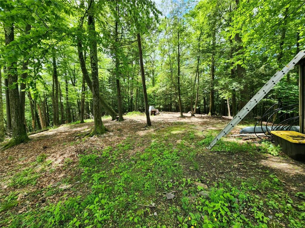 Single Family Buffalo  Ulster County, NY 12477, MLS-H6311843-7