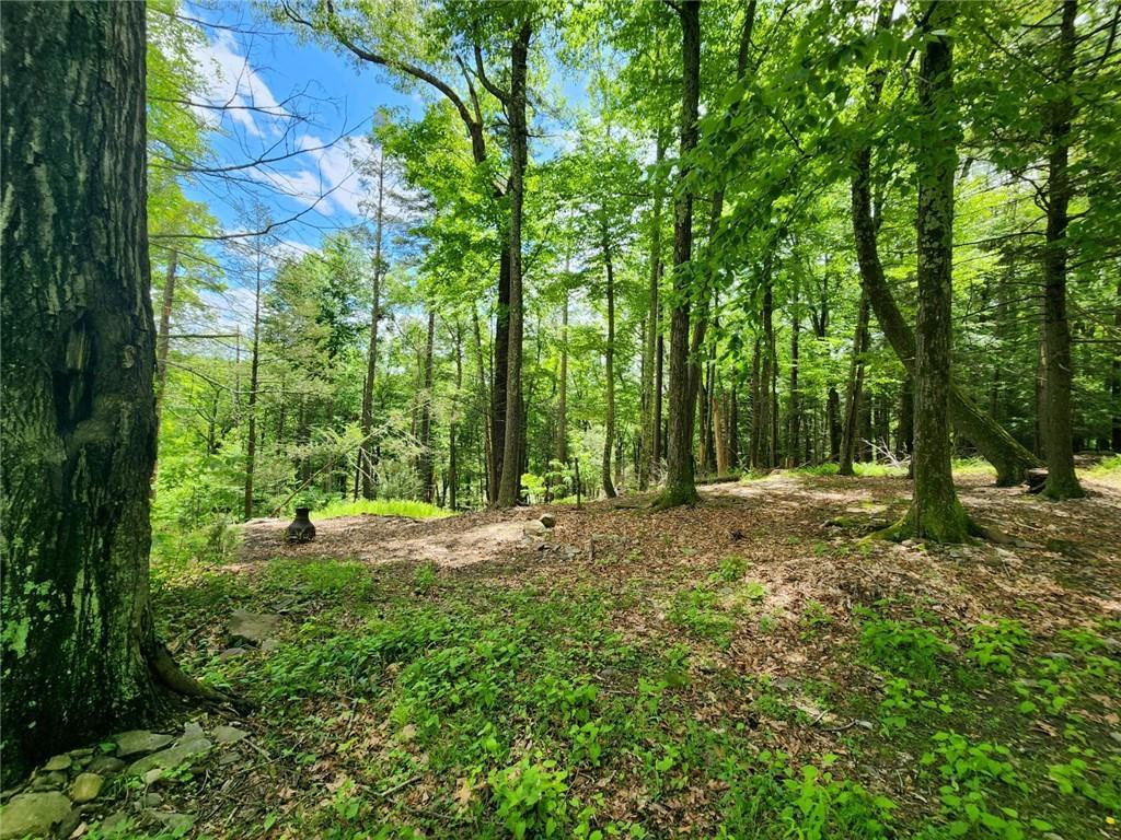Single Family Buffalo  Ulster County, NY 12477, MLS-H6311843-8