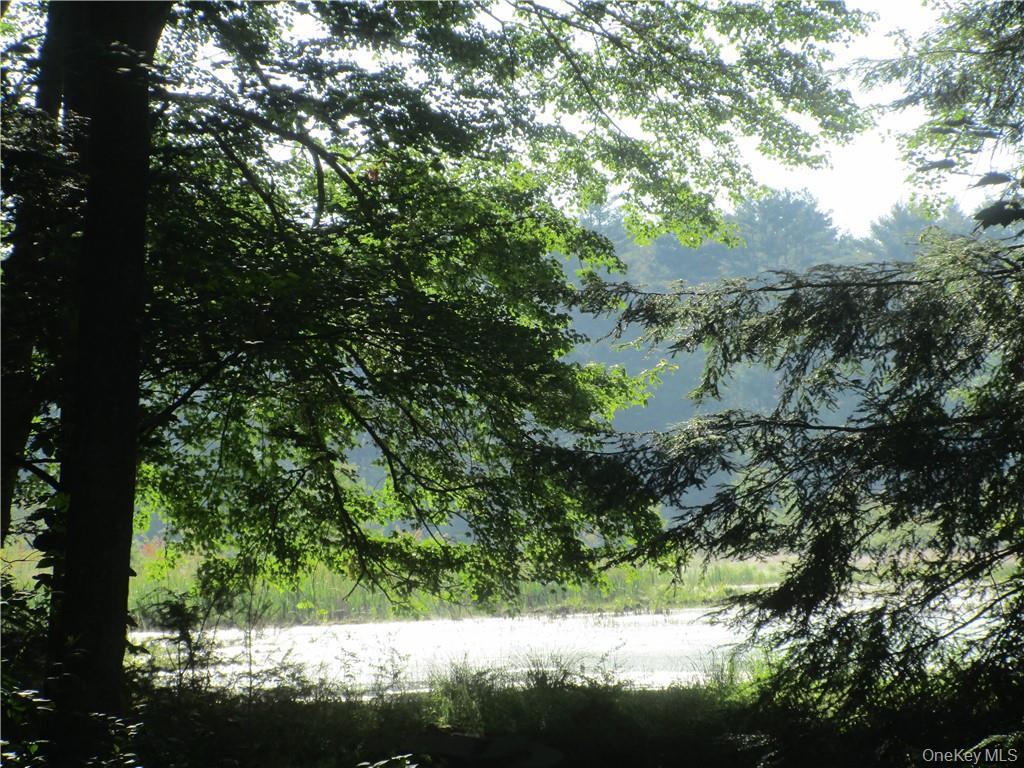 Single Family State Route 42  Orange County, NY 12780, MLS-H6313750-30