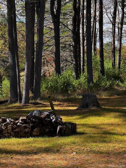 Single Family State Route 42  Orange County, NY 12780, MLS-H6313750-31