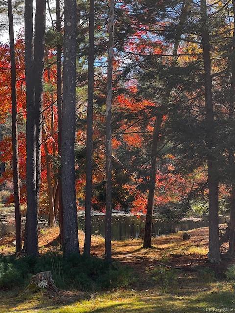 Single Family State Route 42  Orange County, NY 12780, MLS-H6313750-32