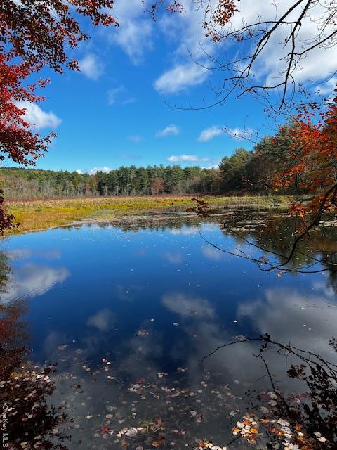 Single Family State Route 42  Orange County, NY 12780, MLS-H6313750-35