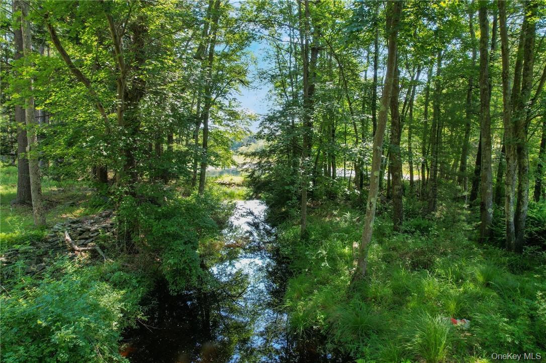 Single Family State Route 42  Orange County, NY 12780, MLS-H6313750-7