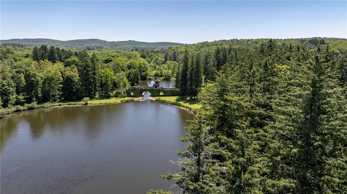 Single Family Hitchcock  Dutchess County, NY 12545, MLS-H6314256-10