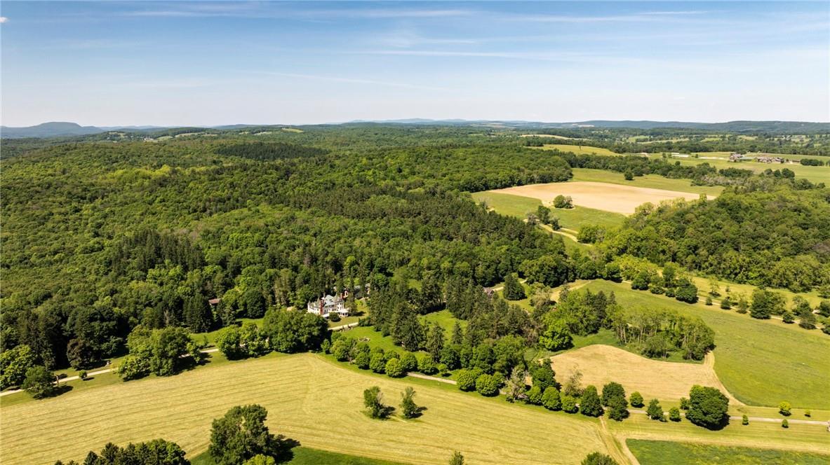 Single Family Hitchcock  Dutchess County, NY 12545, MLS-H6314256-4