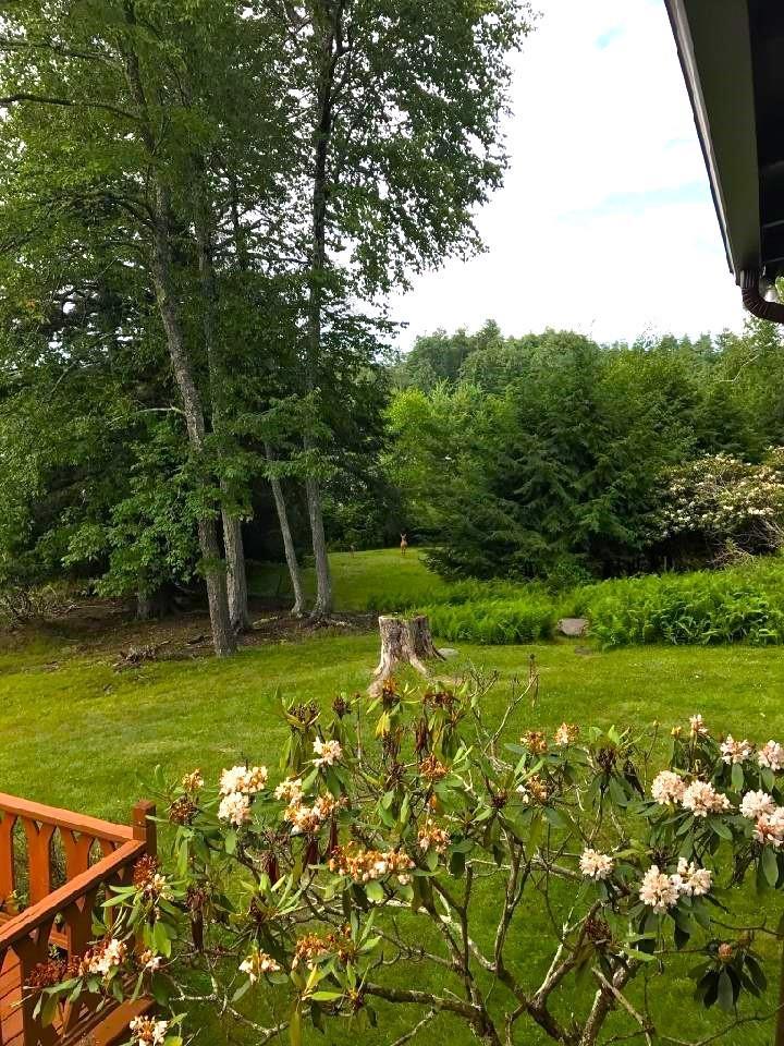 Single Family Starlight  Sullivan County, NY 12778, MLS-H6314910-32