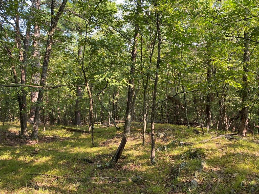 Single Family Lakeside  Dutchess County, NY 12572, MLS-H6315329-11