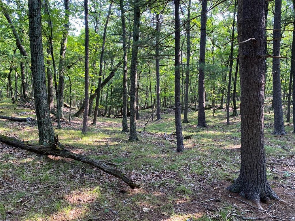 Single Family Lakeside  Dutchess County, NY 12572, MLS-H6315329-12