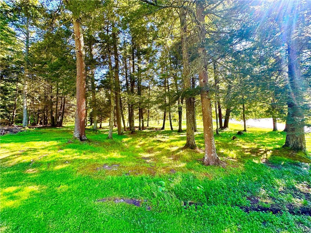 Single Family Mesmer Hill  Sullivan County, NY 12723, MLS-H6315946-17