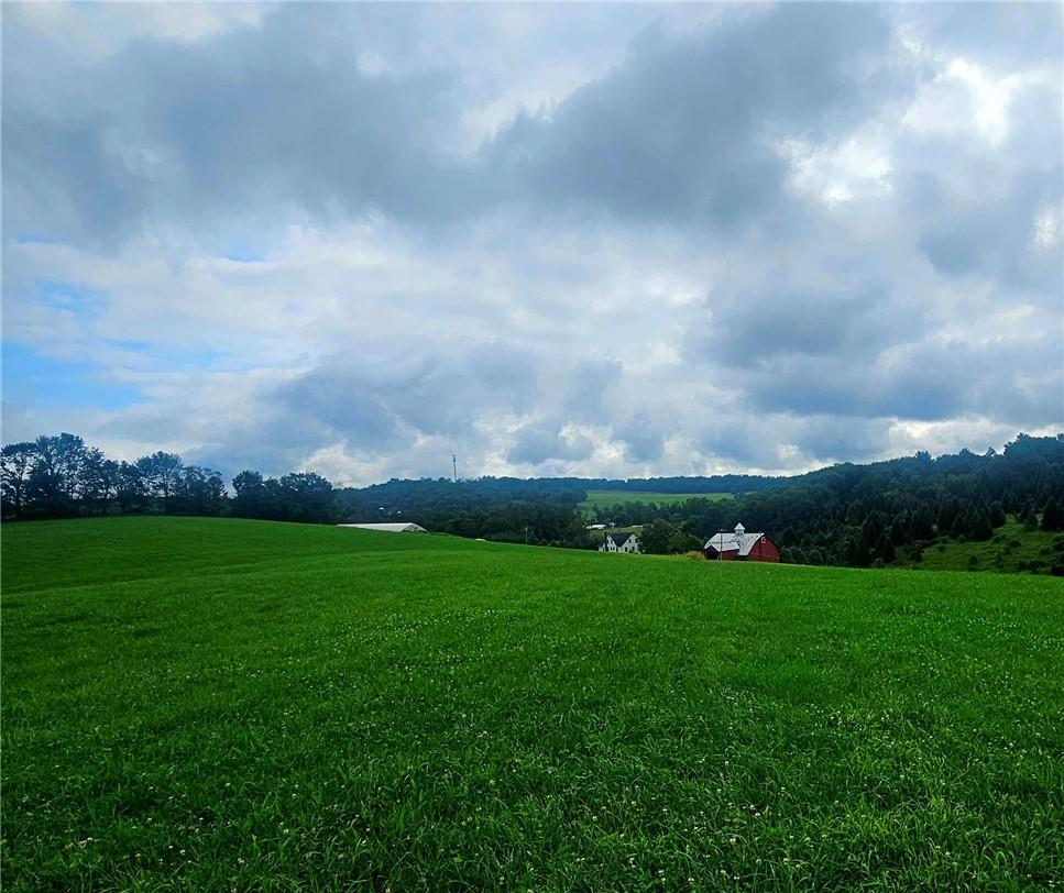 Single Family Swiss Hill  Sullivan County, NY 12748, MLS-H6316536-12