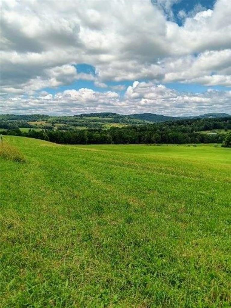 Single Family Swiss Hill  Sullivan County, NY 12748, MLS-H6316536-13