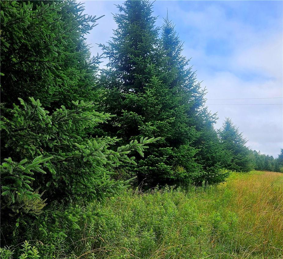 Single Family Swiss Hill  Sullivan County, NY 12748, MLS-H6316536-27