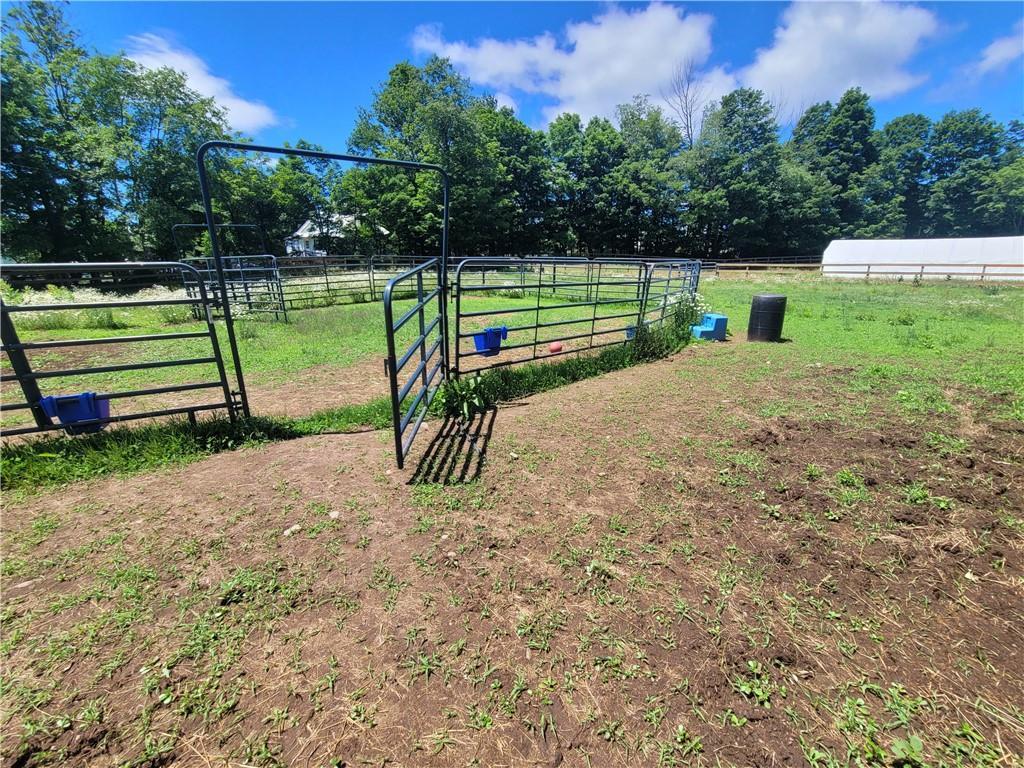 Single Family Cole  Sullivan County, NY 12788, MLS-H6316545-5