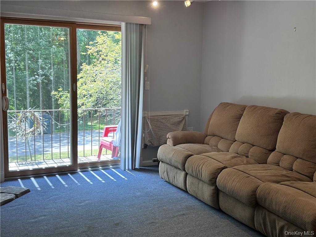 Condo Old Mill  Orange County, NY 10975, MLS-H6317833-20