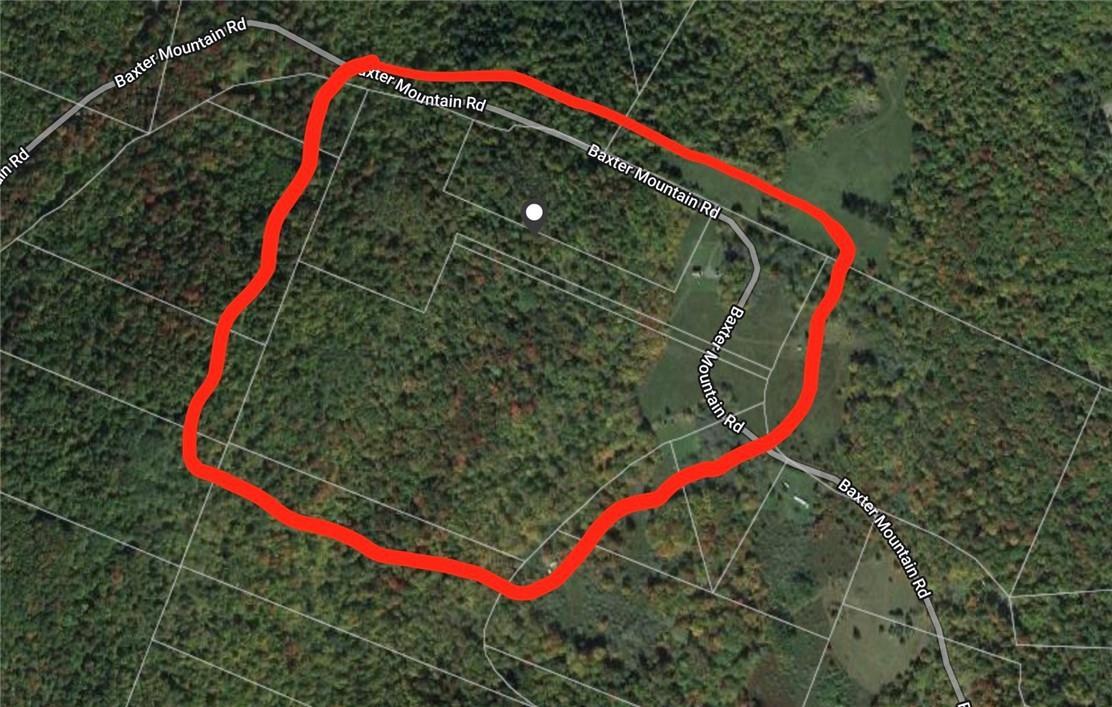 Single Family Baxter Mountain  Delaware County, NY 13755, MLS-H6319924-36