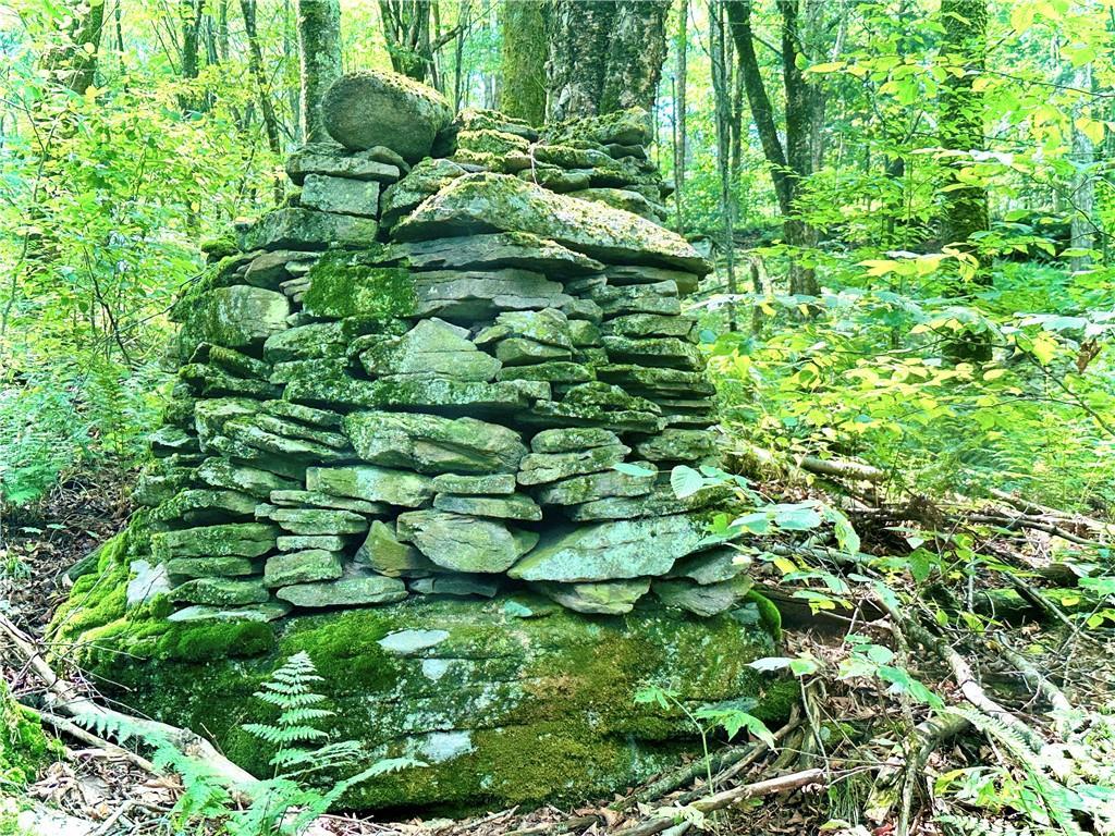 Single Family Baxter Mountain  Delaware County, NY 13755, MLS-H6319924-7