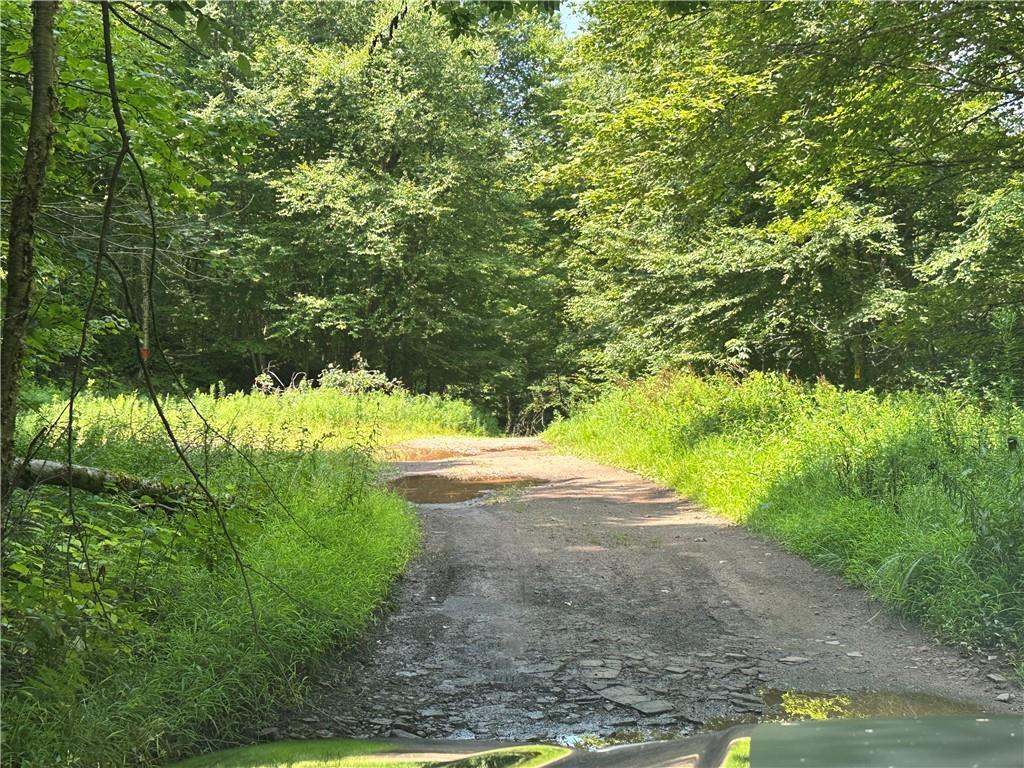 Single Family Baxter Mountain  Delaware County, NY 13755, MLS-H6319924-9