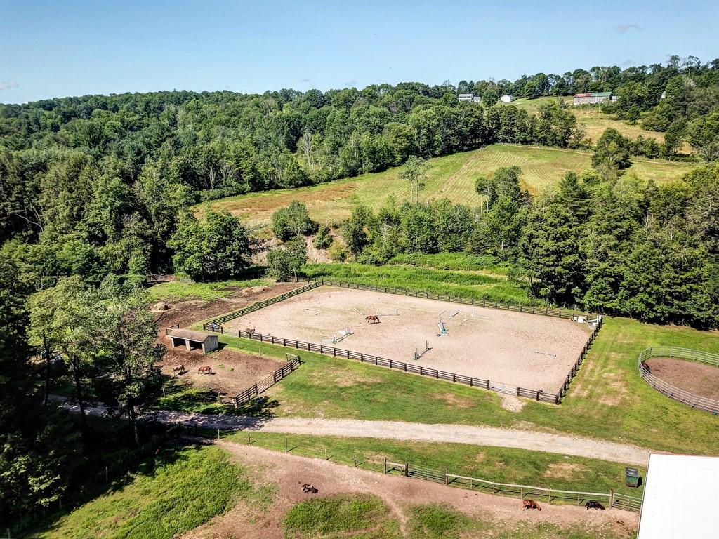 Single Family Callicoon Center  Sullivan County, NY 12748, MLS-H6320781-9